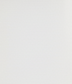 Rack tom 9" x 13" SOLID COLORS Arctic White